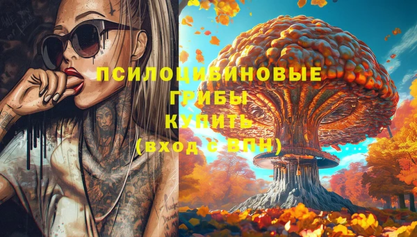 винт Аркадак