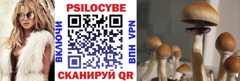 Псилоцибиновые грибы Psilocybe  Выкса 