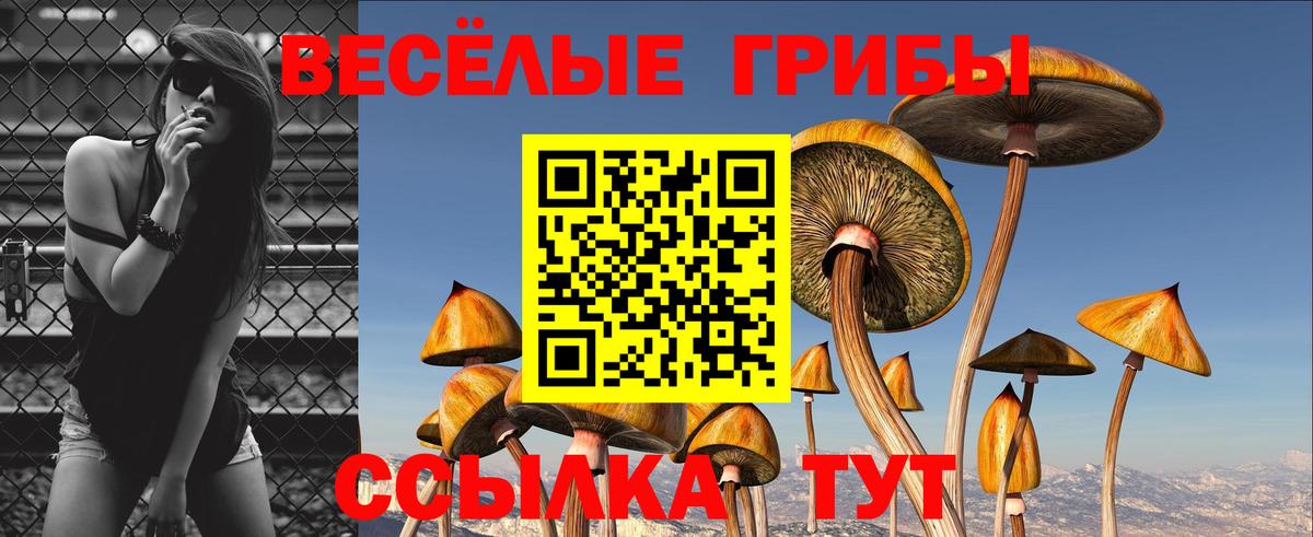 Галлюциногенные грибы прущие грибы Выкса