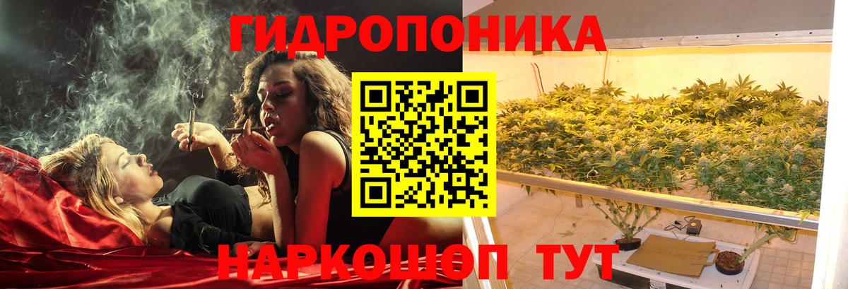Выкса  Шишки марихуана AK-47  Марихуана гибрид  Каннабис SATIVA & INDICA  Каннабис индика  Вход с VPN 
